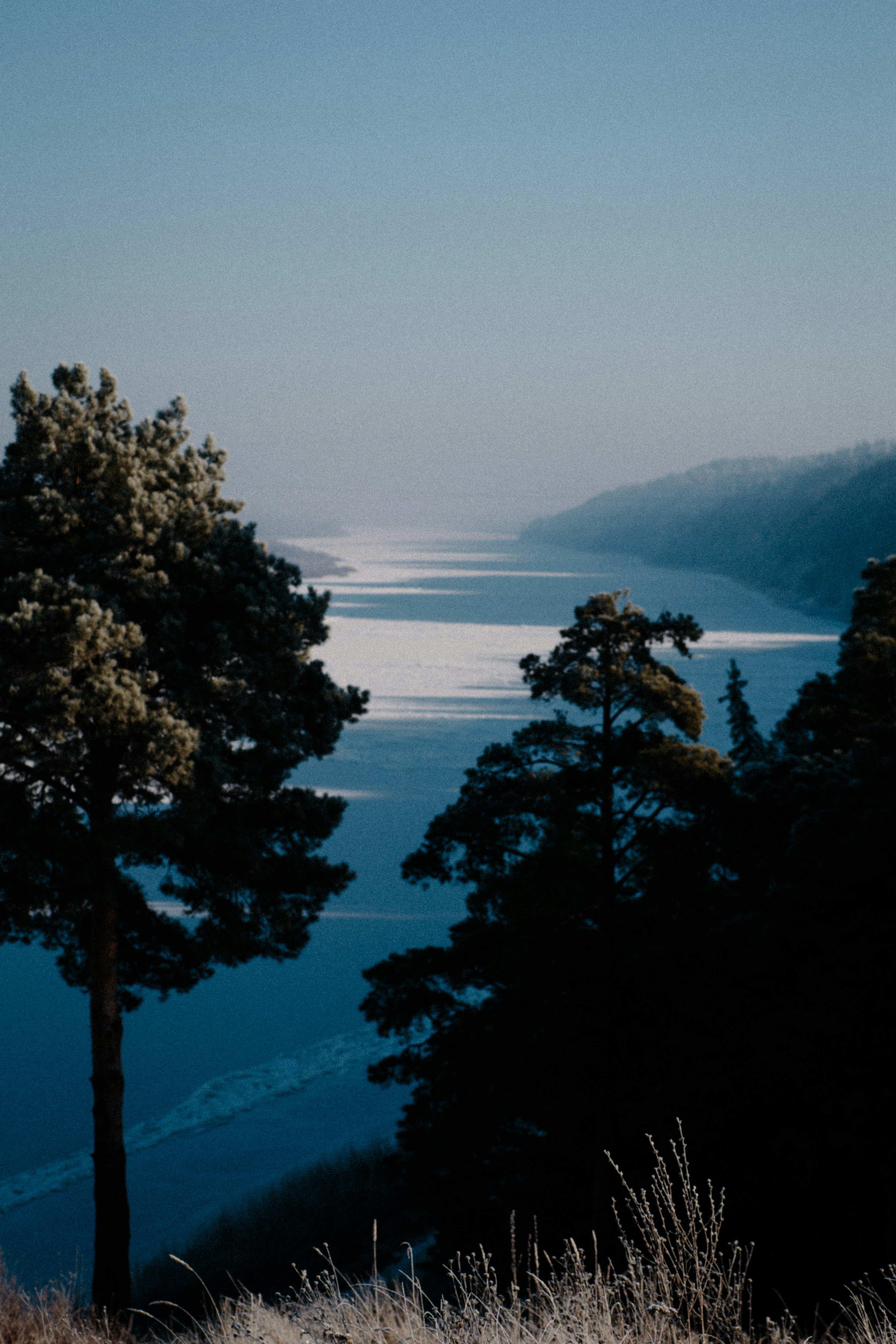 Photo by kkalerry