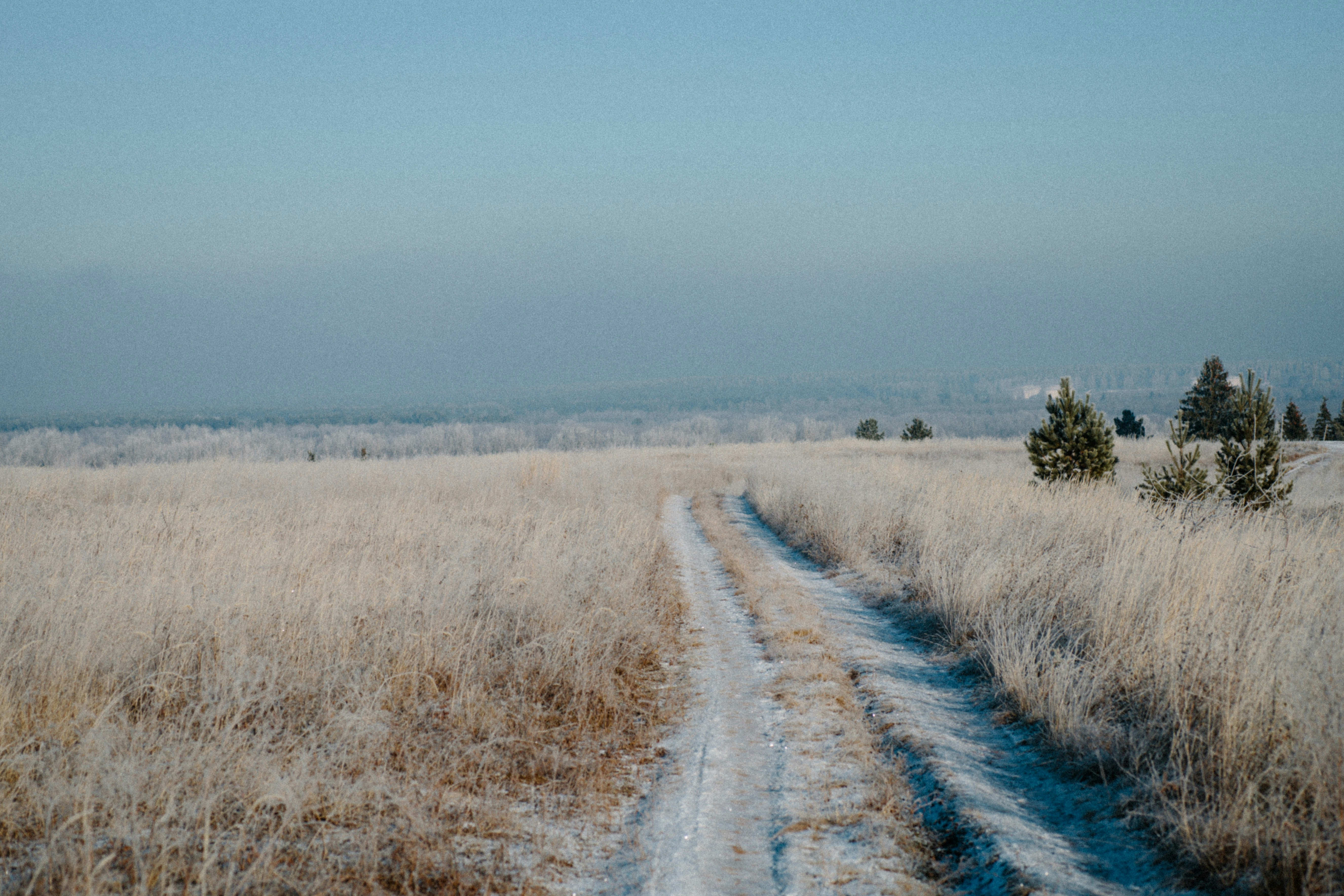 gray dirt road between brown grass field under blue sky during daytime