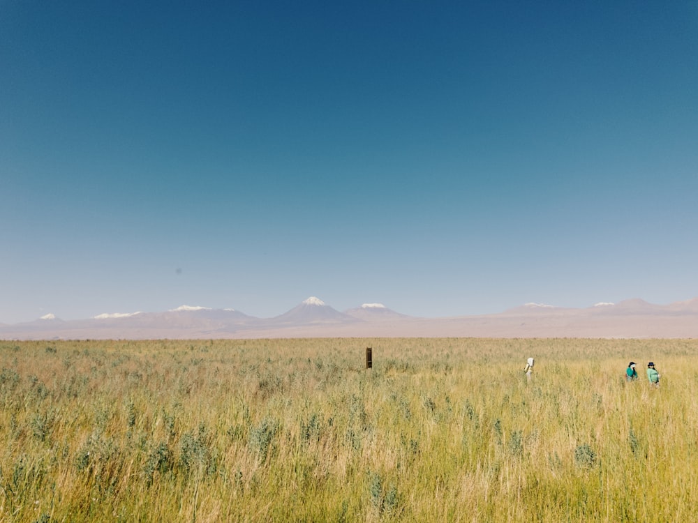 brown grass field near mountains under blue sky during daytime