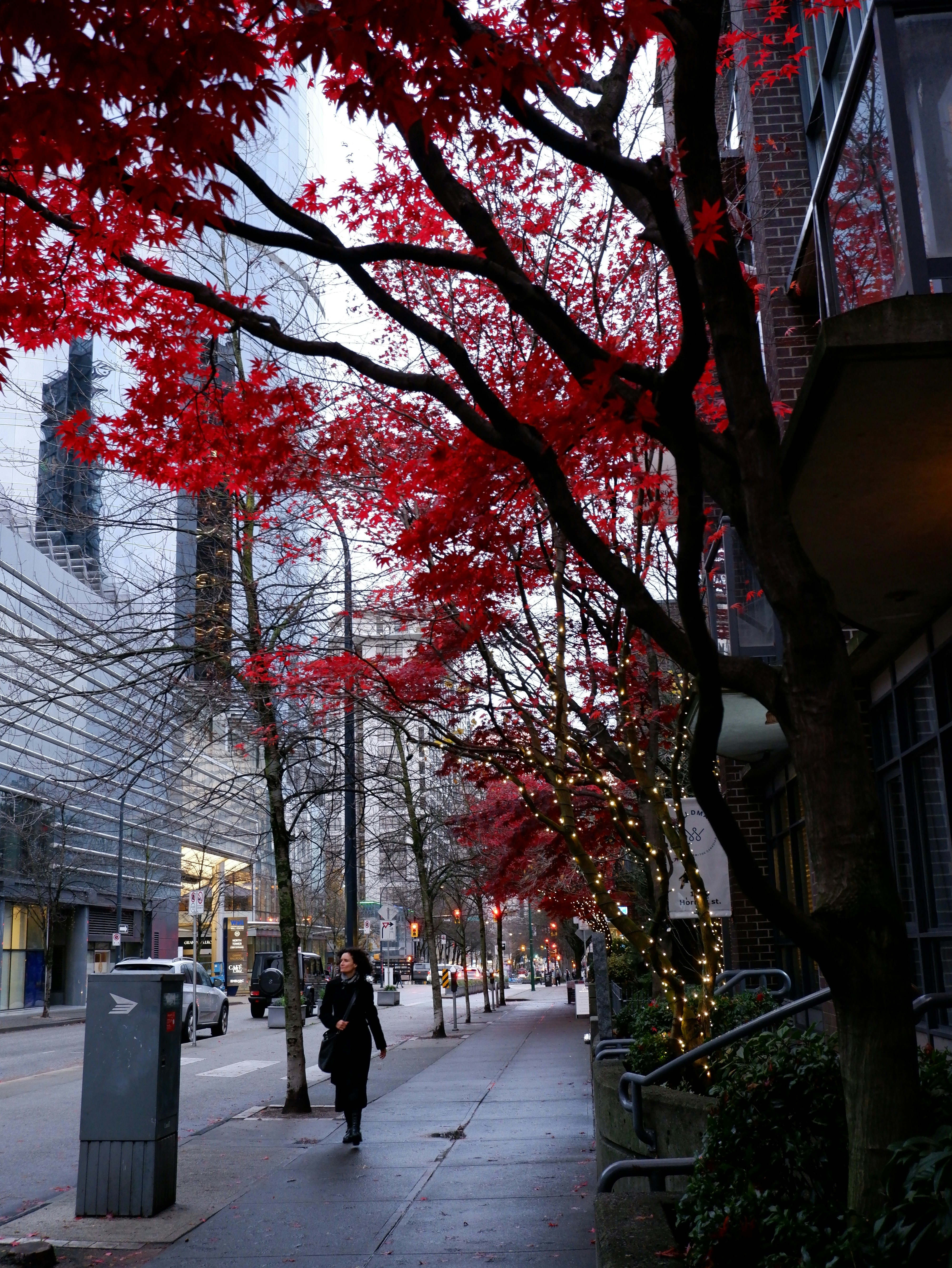 people walking on sidewalk near bare trees during daytime