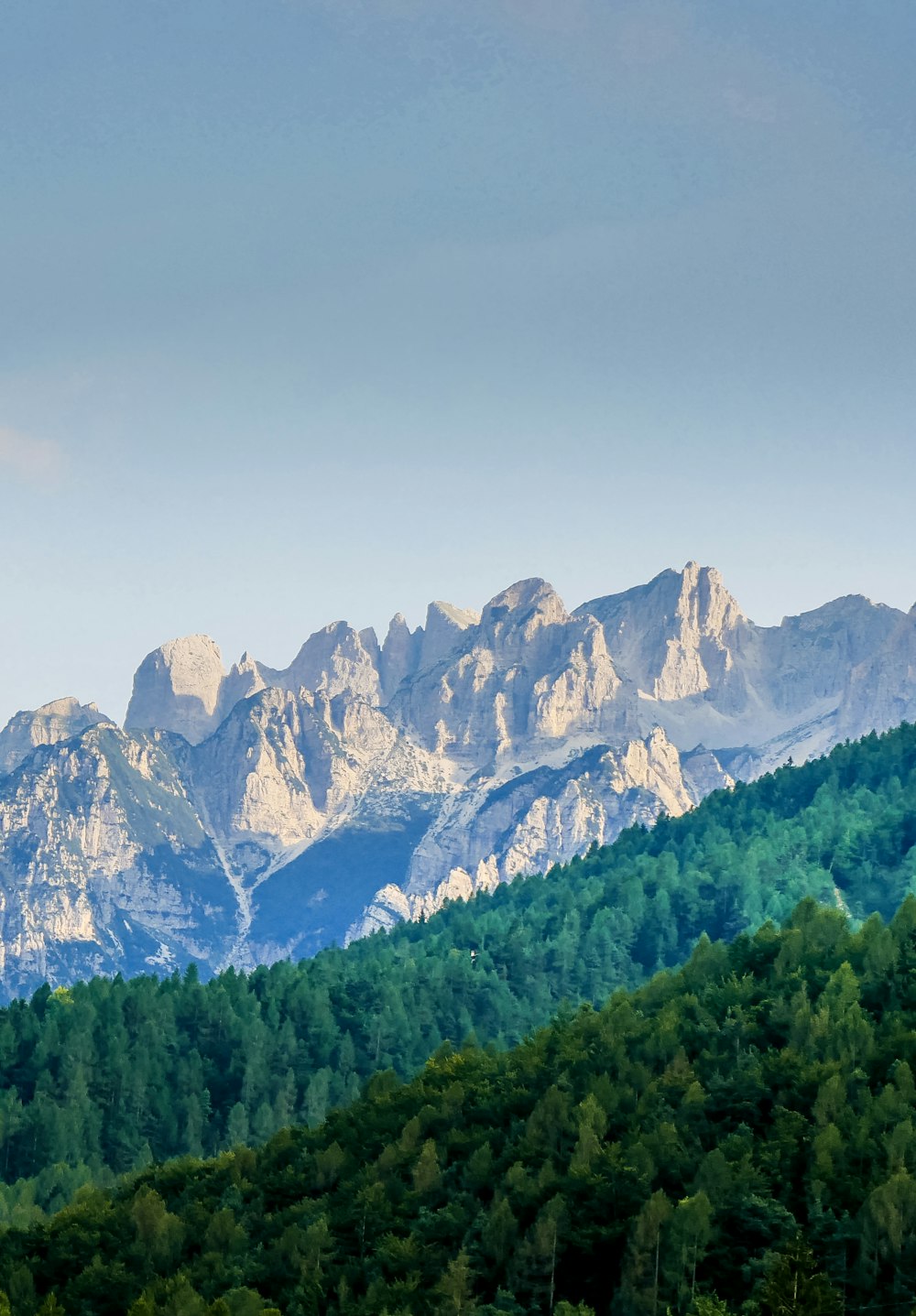 green trees near snow covered mountain during daytime