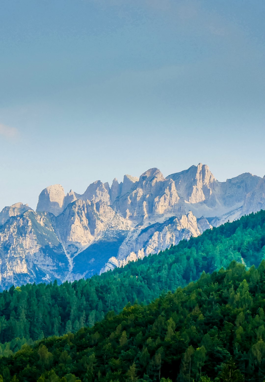 green trees near snow covered mountain during daytime