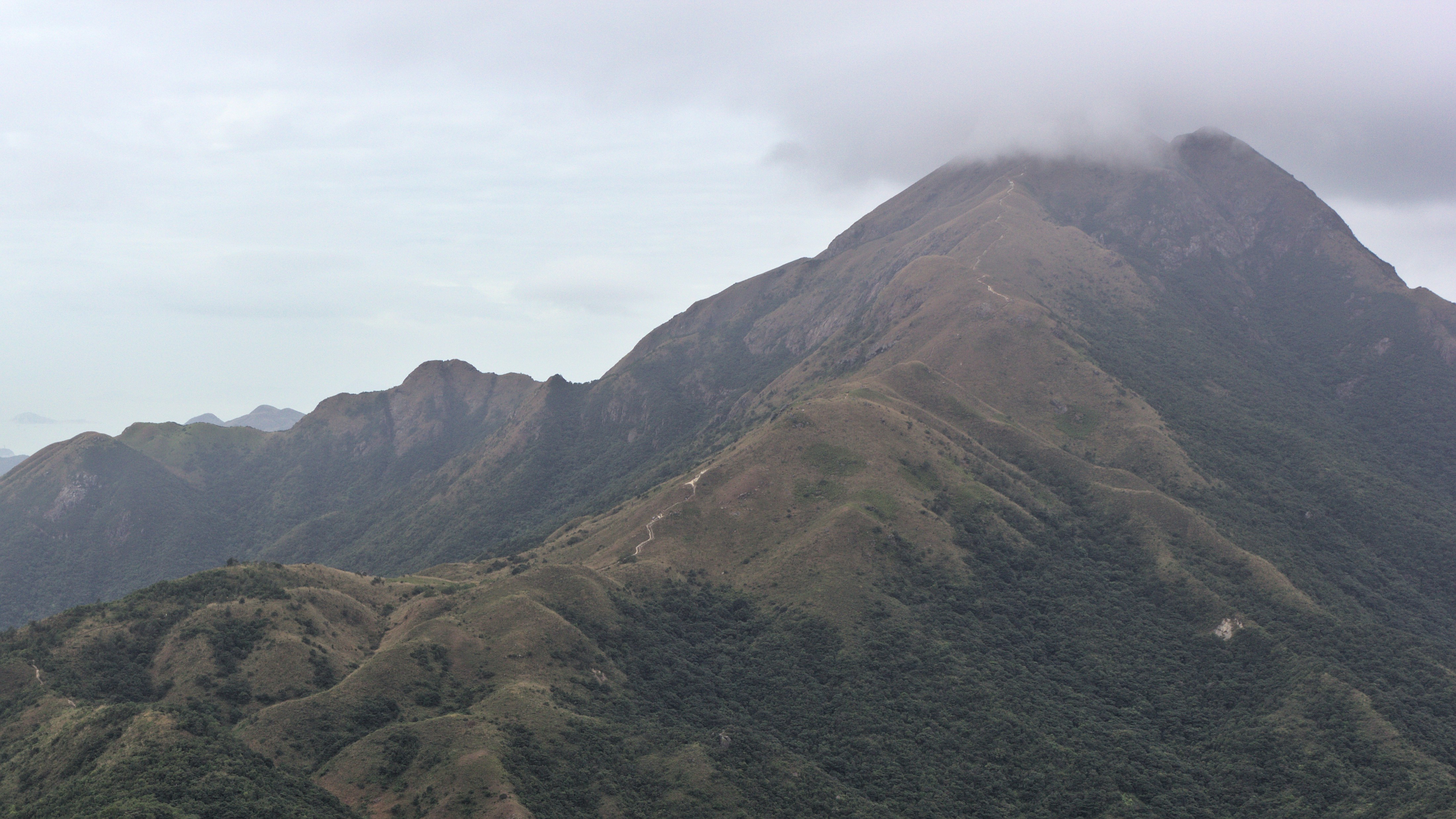 Photo by chromatograph