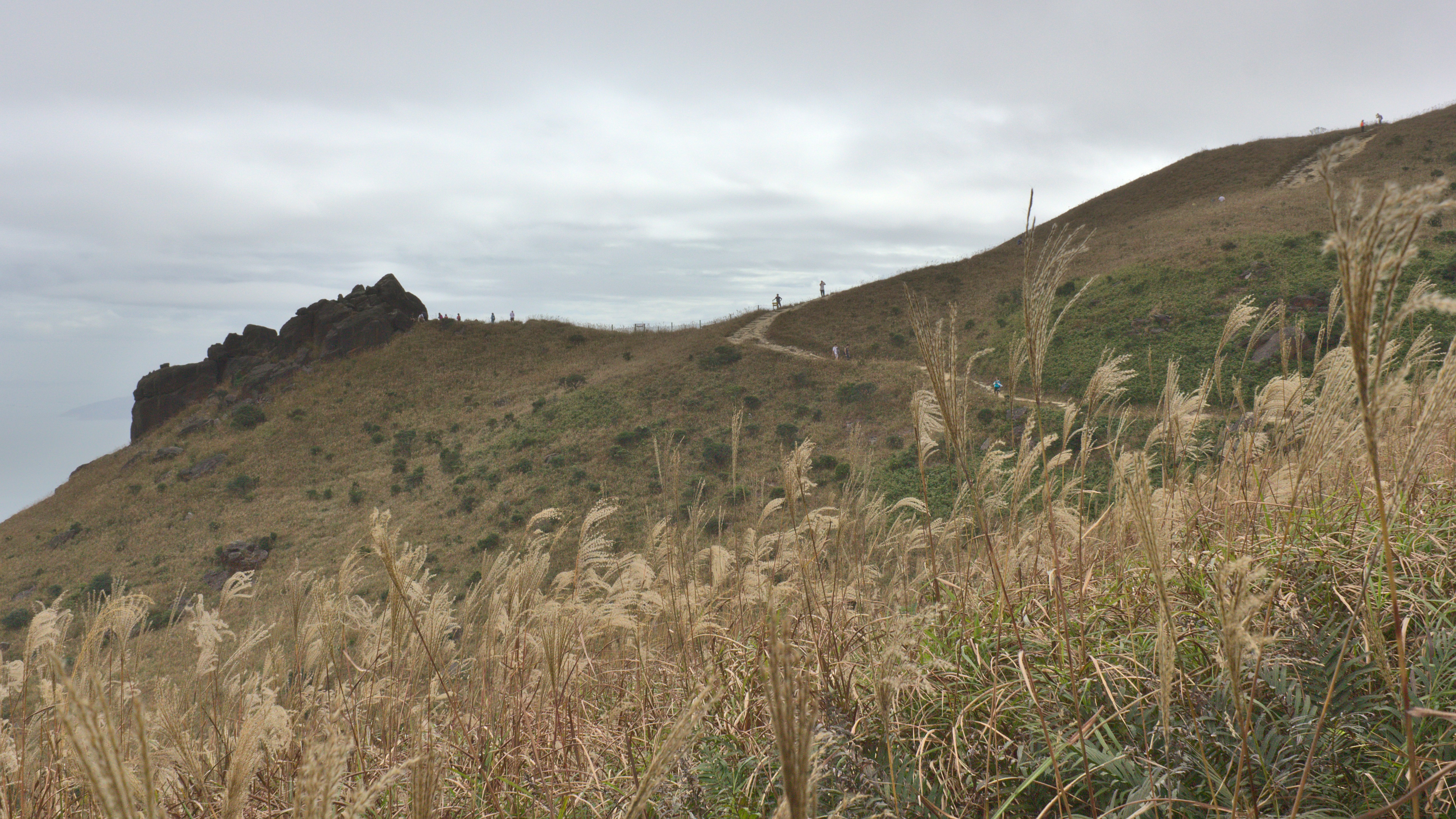 Photo by chromatograph