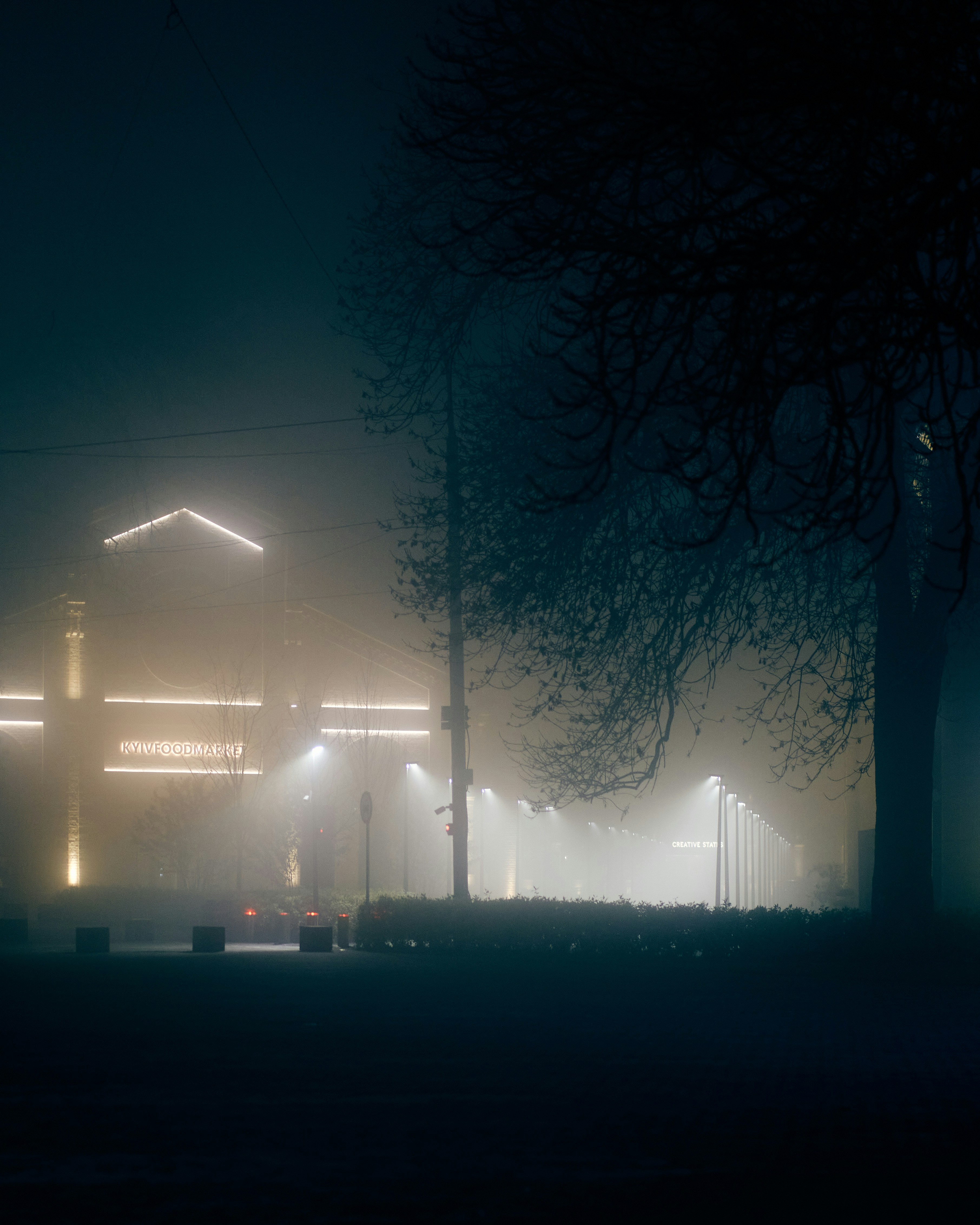 Photo by wonderland8