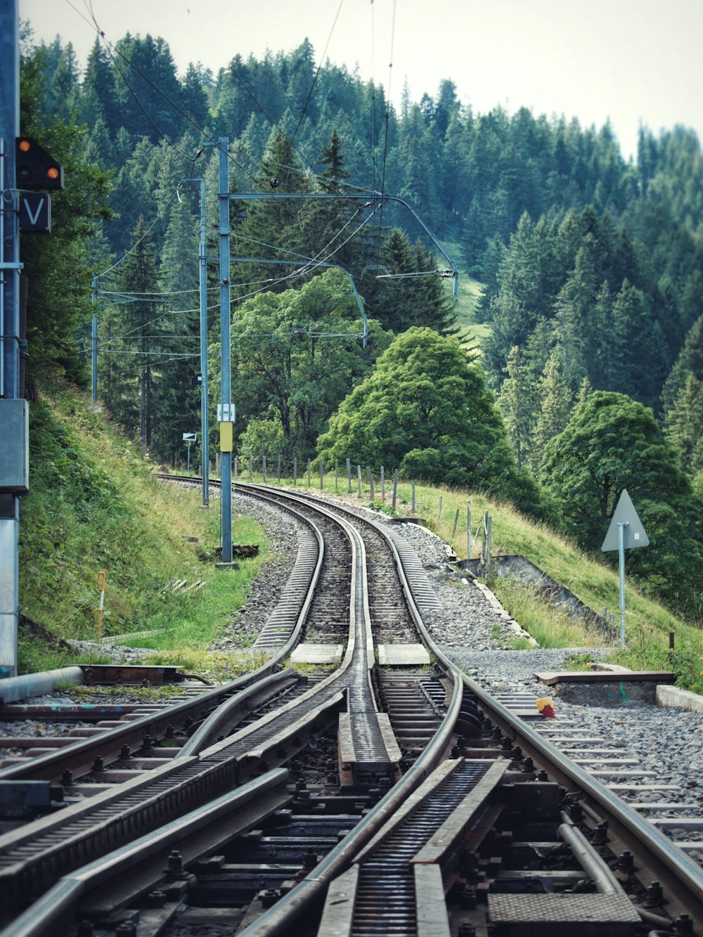 train rail near green trees during daytime