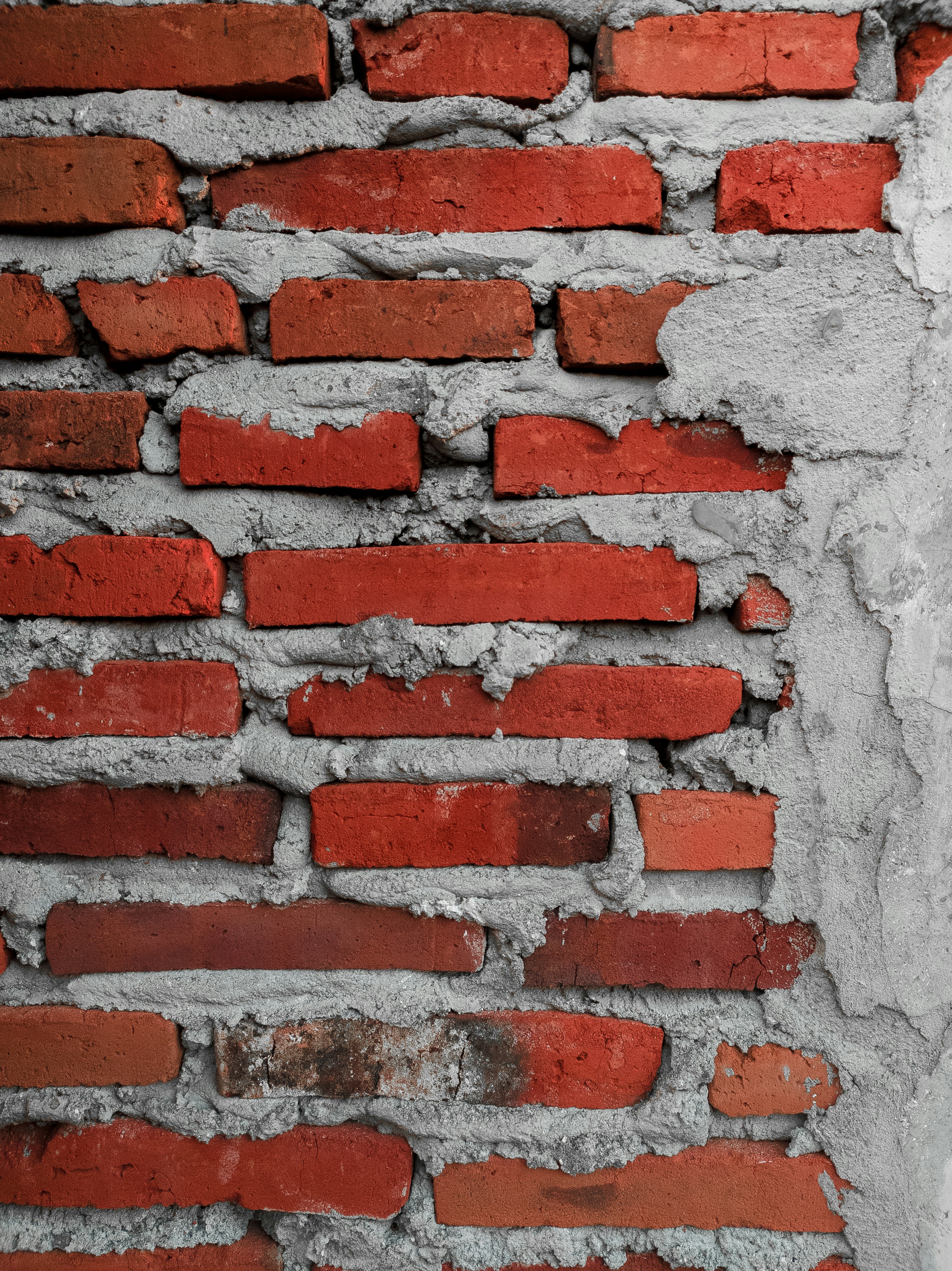 Photo by auinirosenfeld