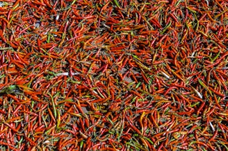 Bright red chili peppers artfully scattered on a deep green velvet surface.