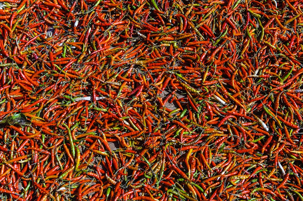 red and green chili peppers