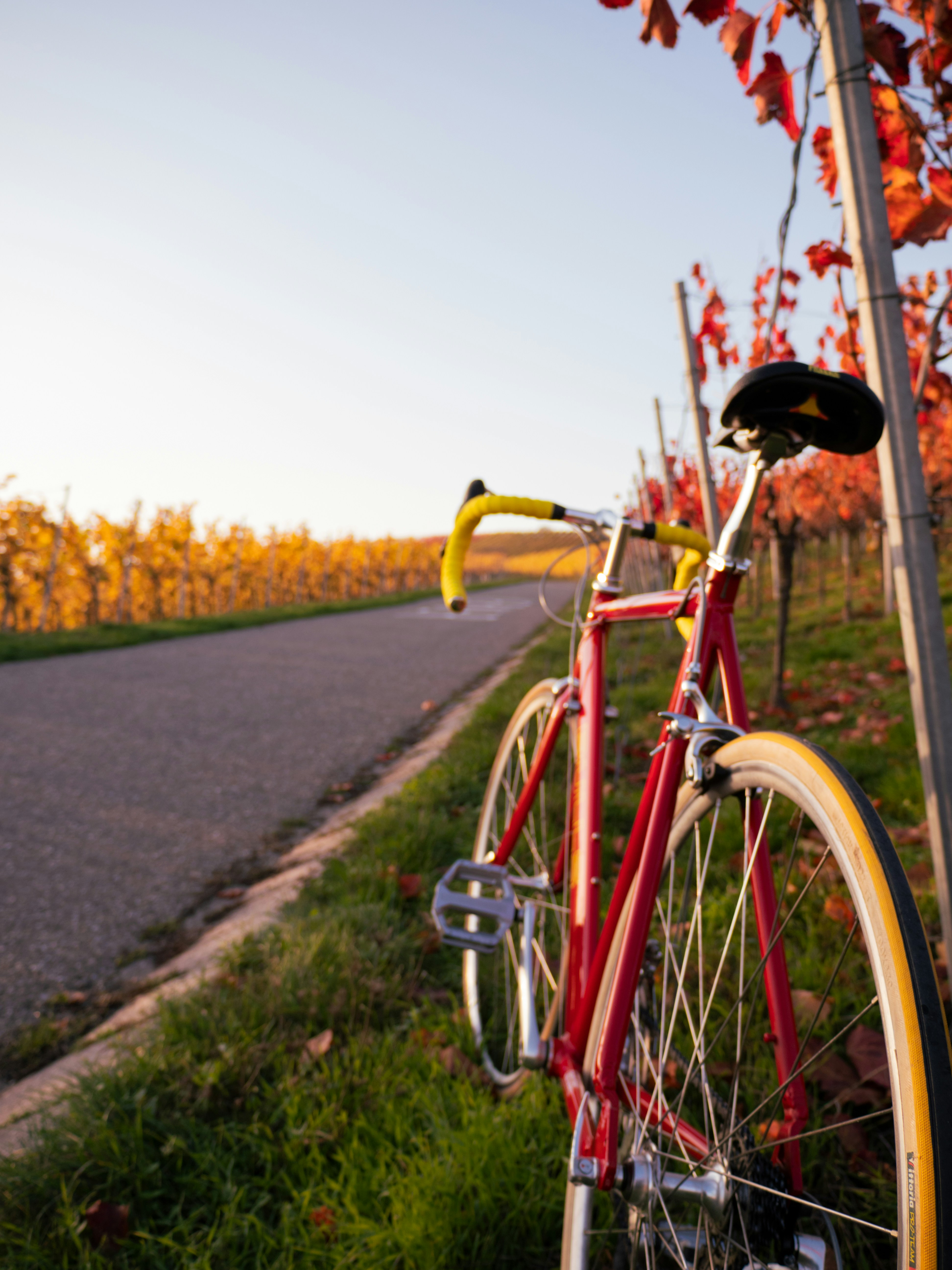 red city bicycle on road during daytime