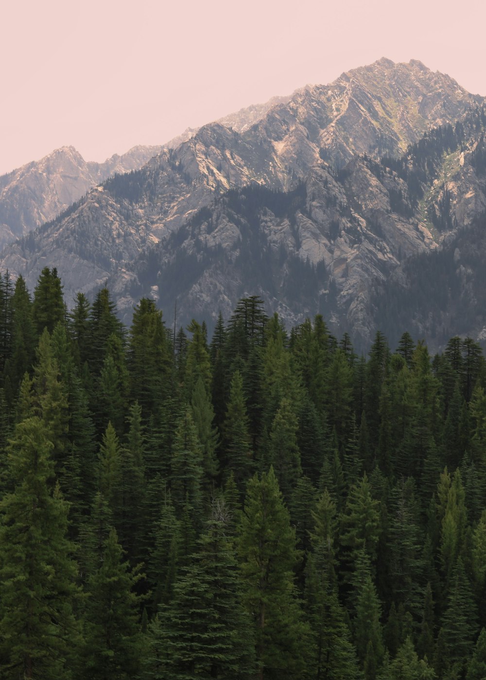 green pine trees near mountain during daytime