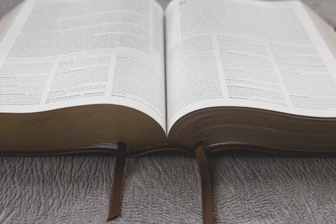 opened book on gray textile