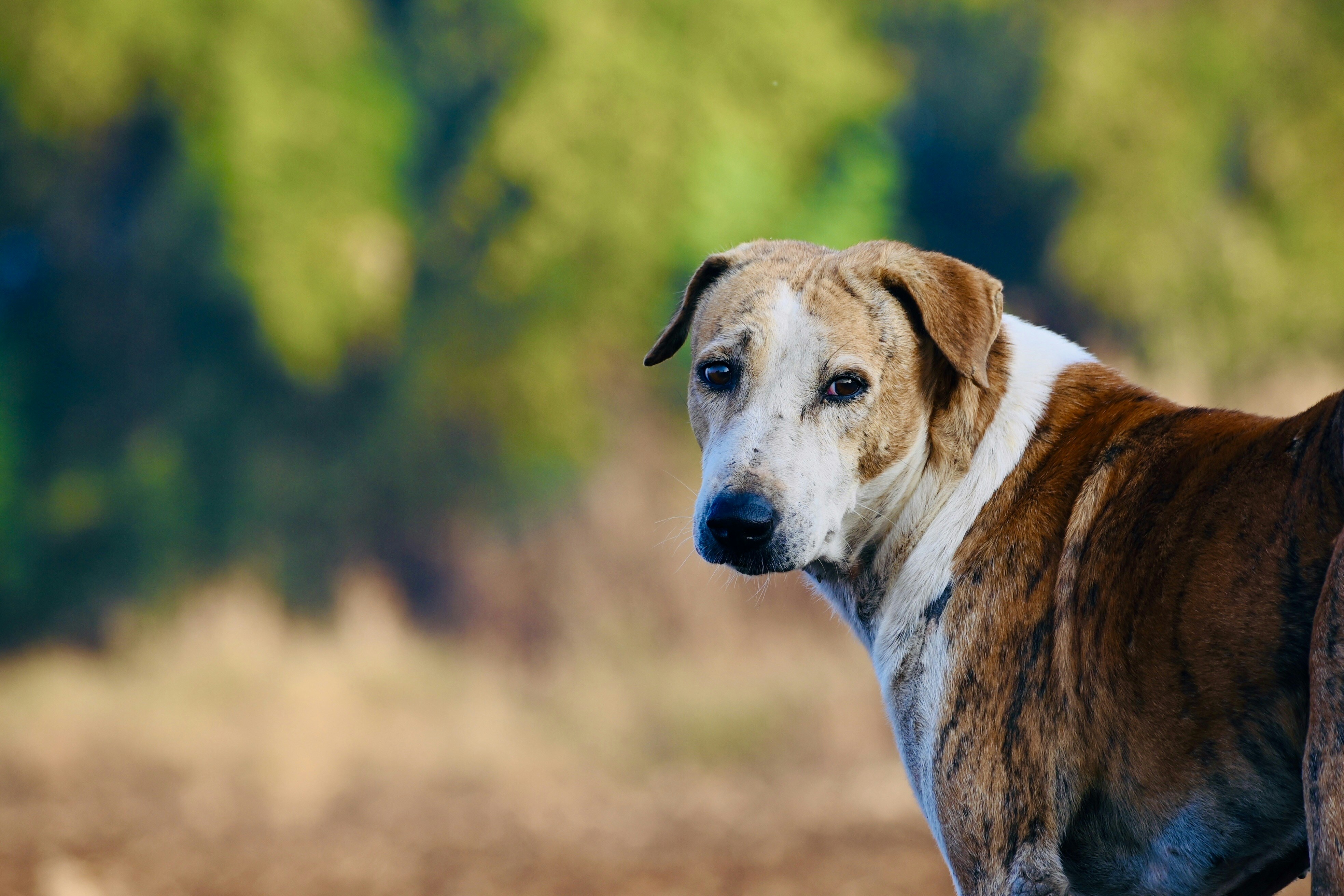 Photo by rrajputphotography