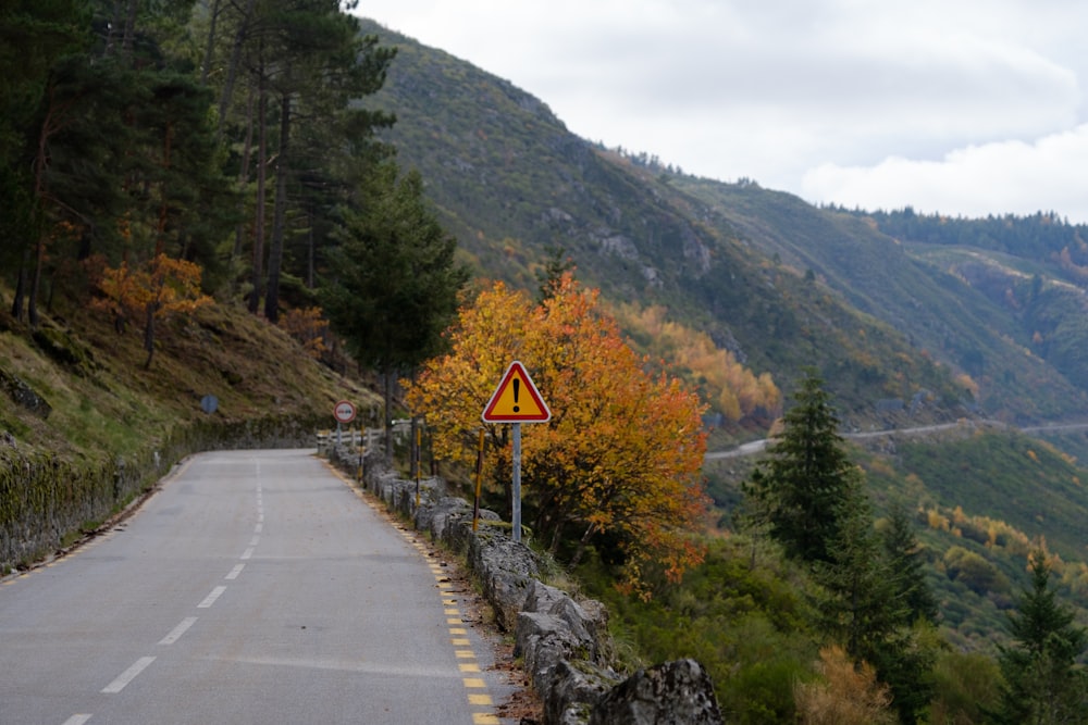 gray concrete road near green trees and mountain during daytime