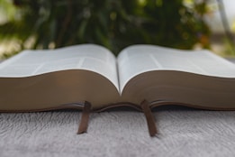 brown book on gray concrete floor