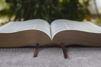brown book on gray concrete floor