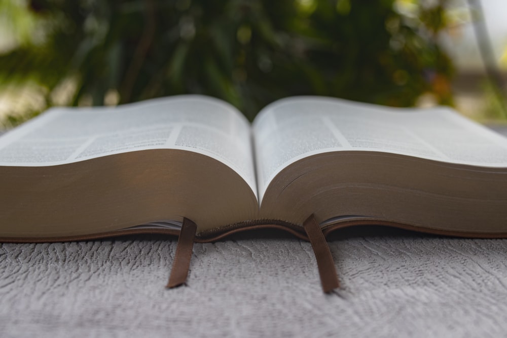 brown book on gray concrete floor