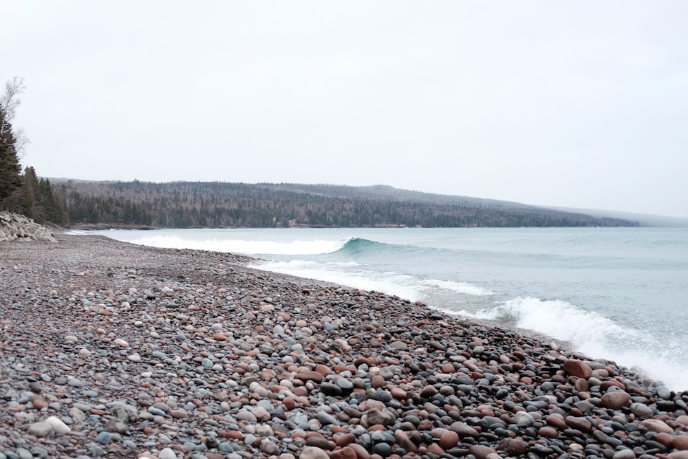 rocky shore with rocky shore during daytime