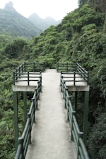 brown wooden bridge over river