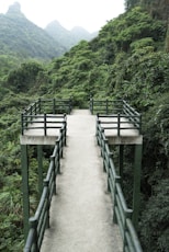 brown wooden bridge over river