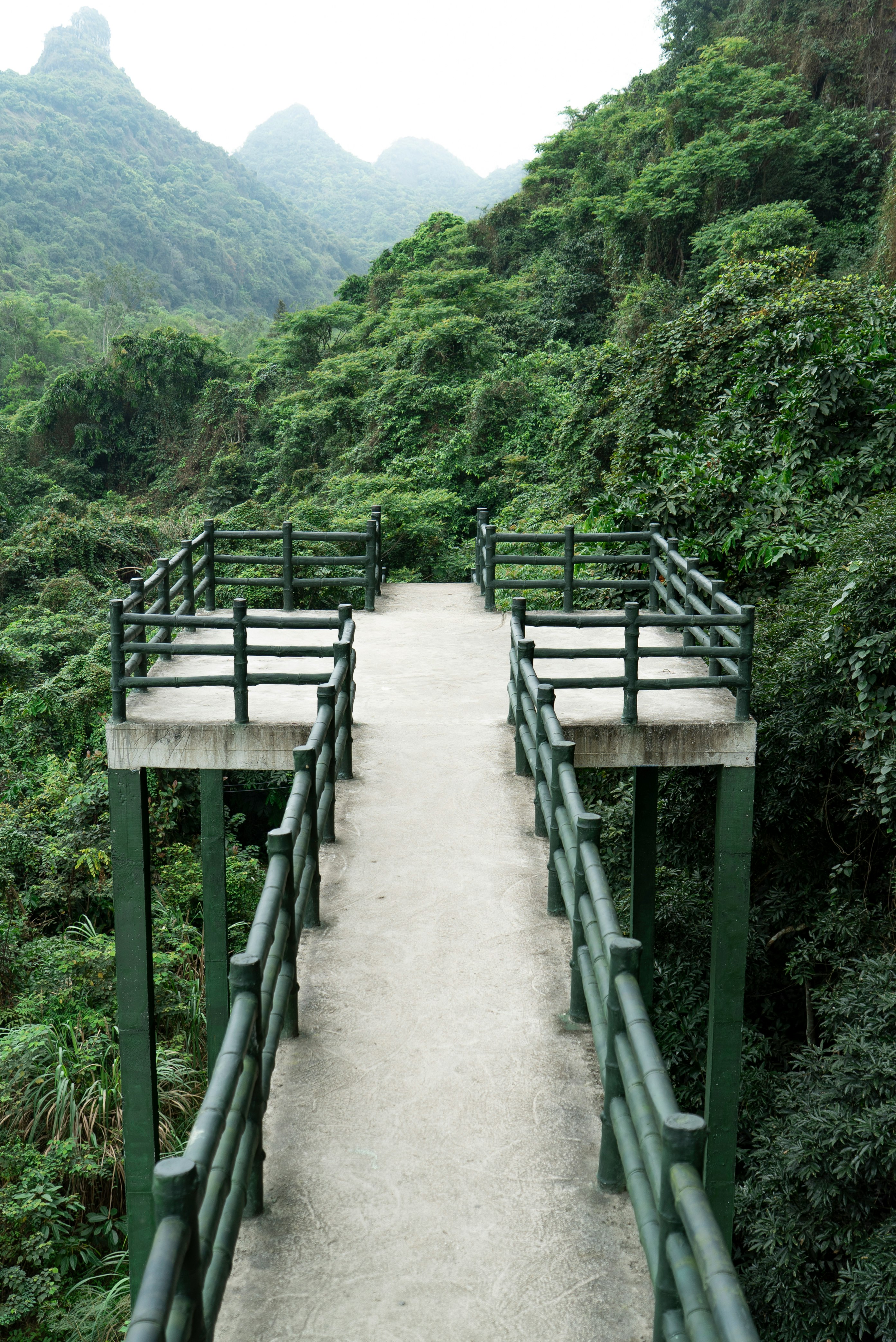 brown wooden bridge over river