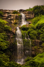 waterfalls in the middle of green trees