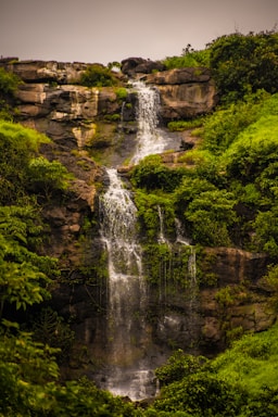 waterfalls in the middle of green trees