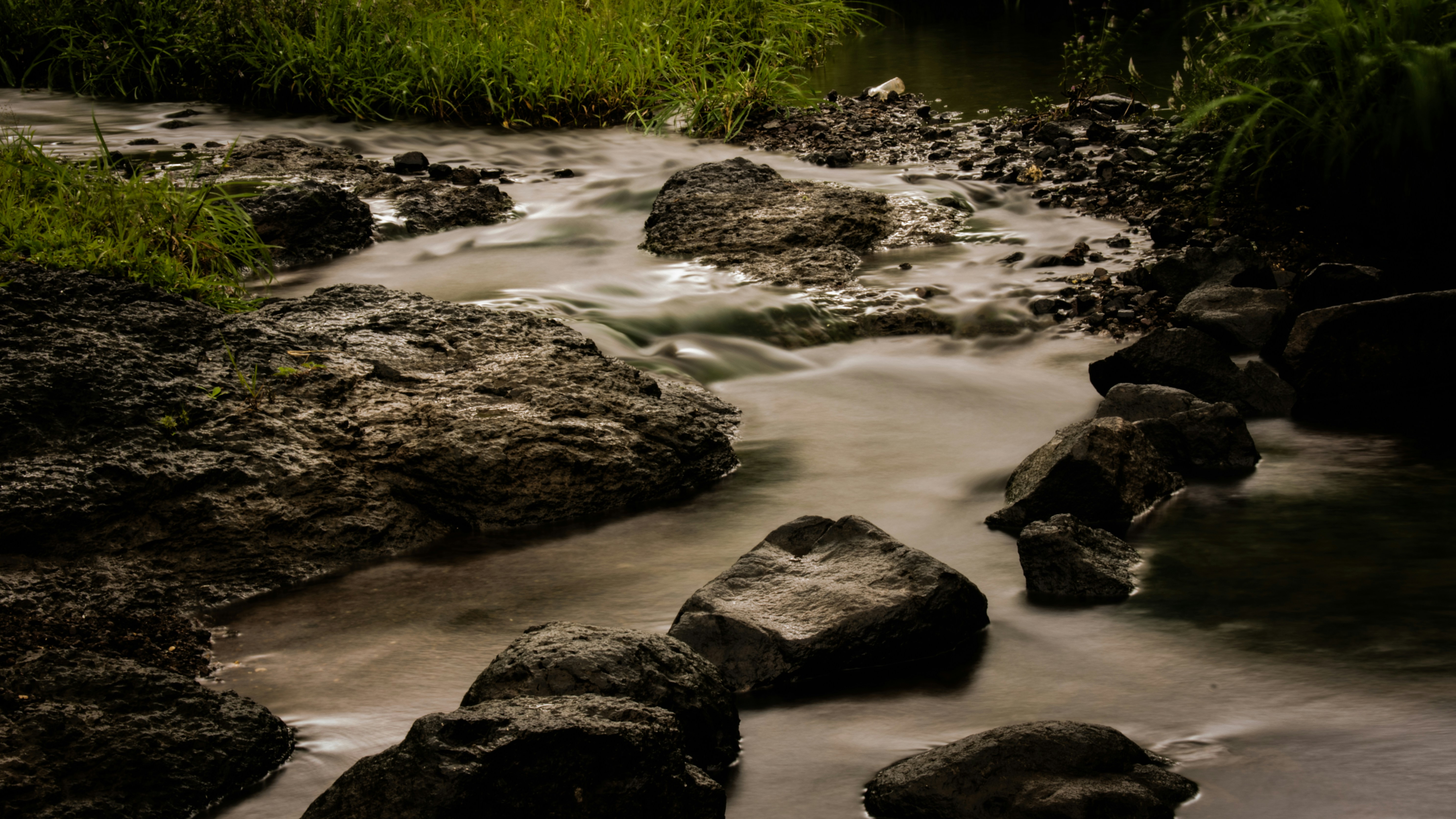 Photo by pranjallk1995