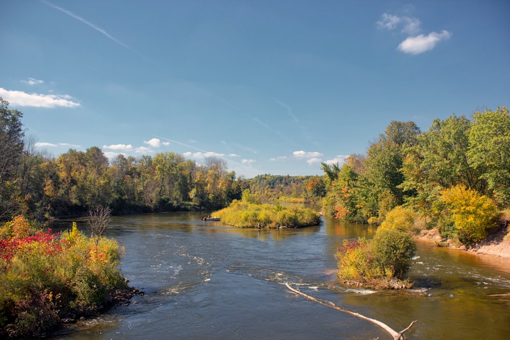 river between green trees under blue sky during daytime