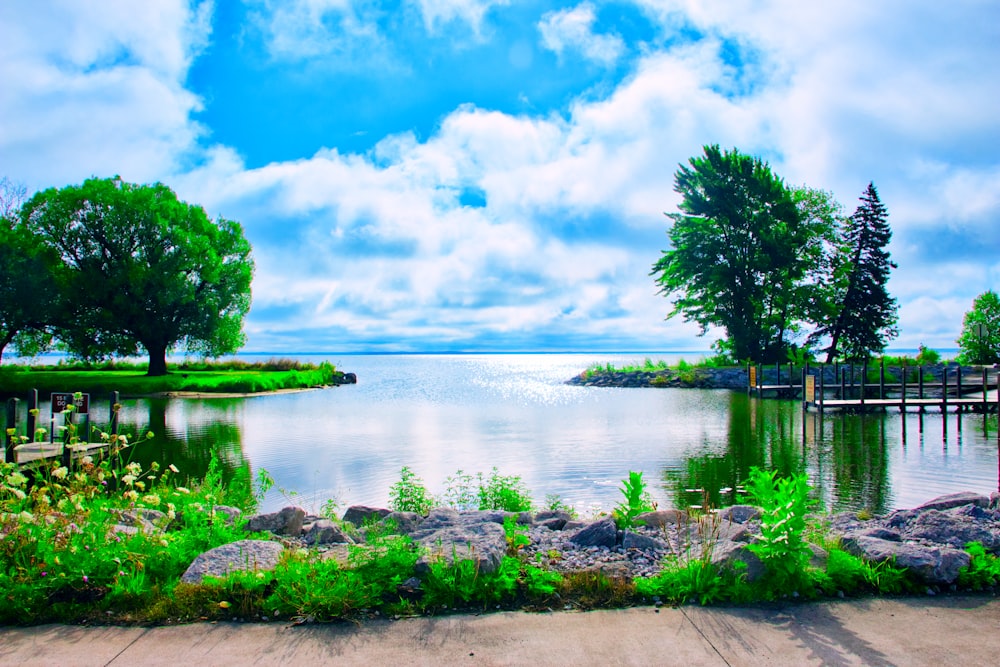 green trees beside body of water under blue sky and white clouds during daytime