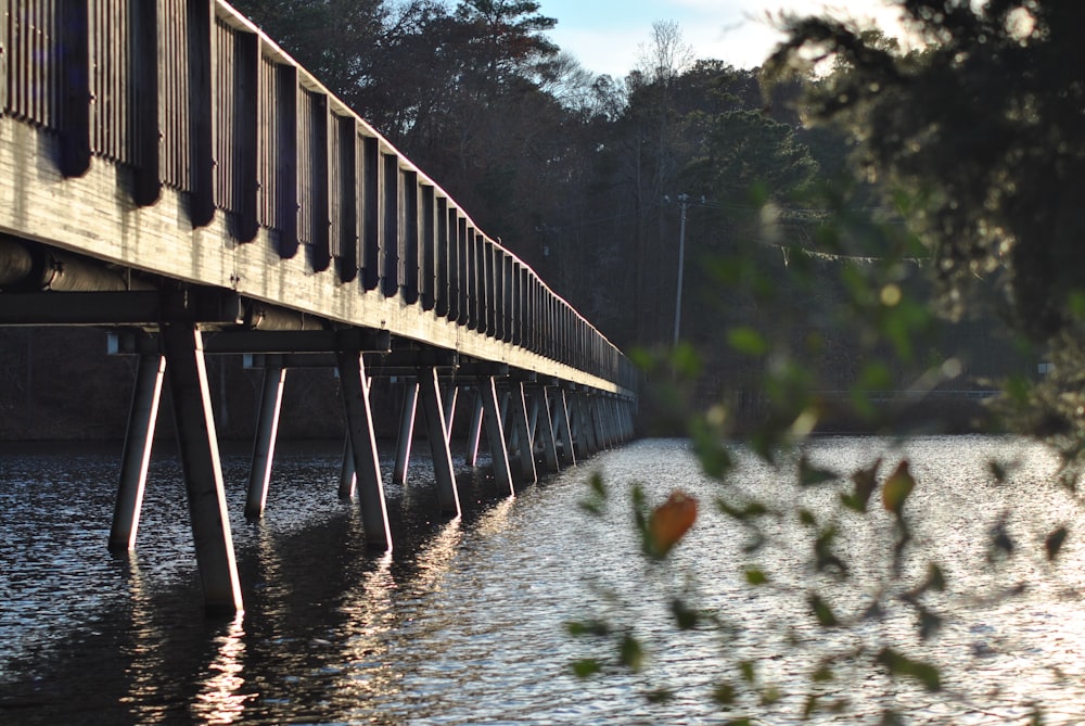 ponte de madeira marrom sobre o rio