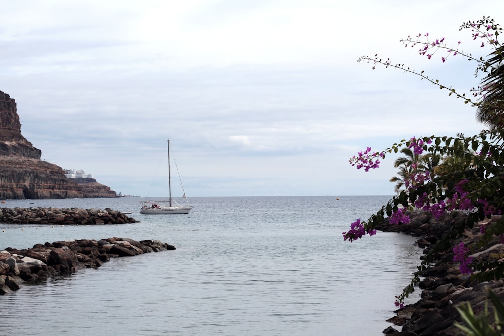 white boat on sea under white sky during daytime