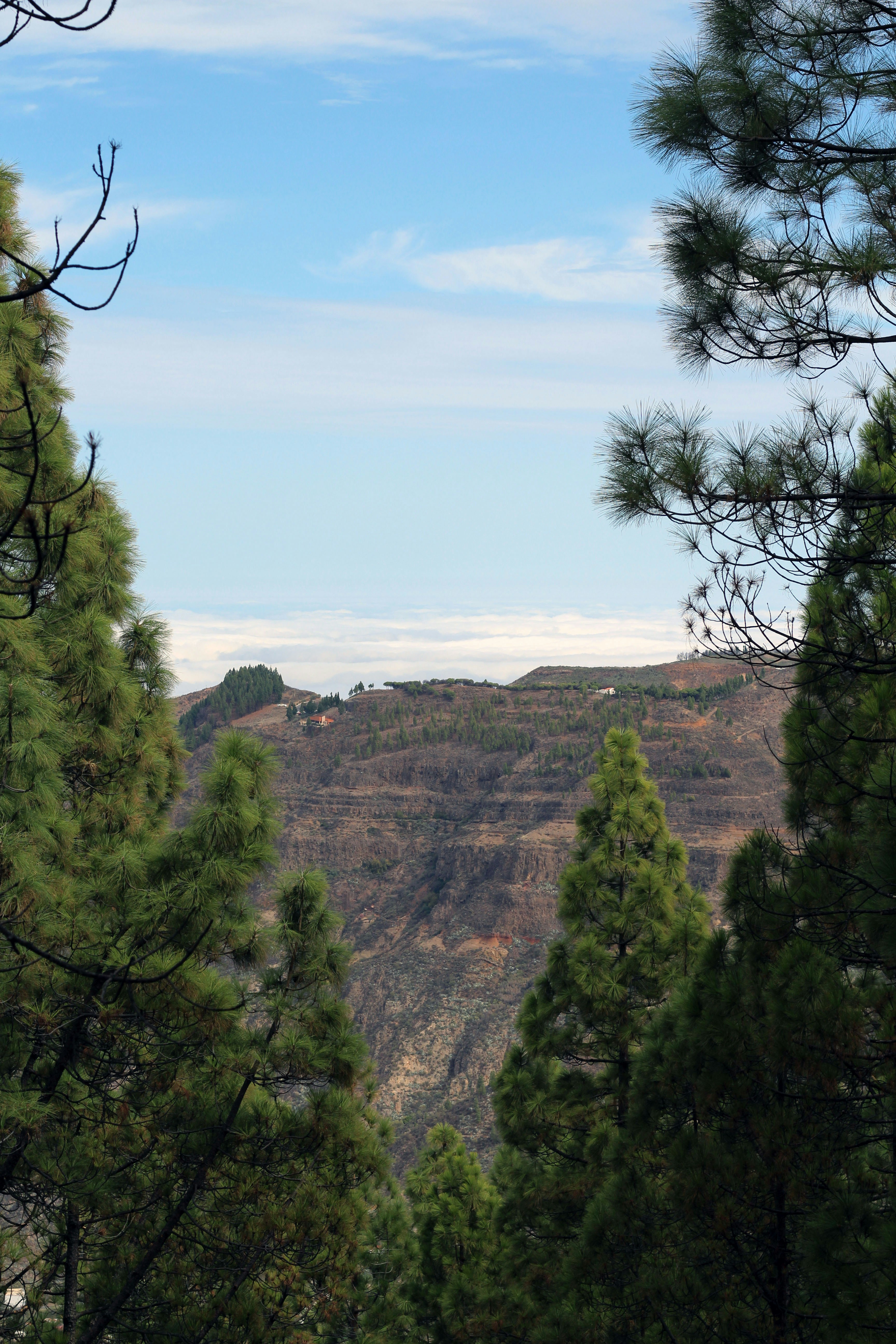 green trees on brown mountain under blue sky during daytime