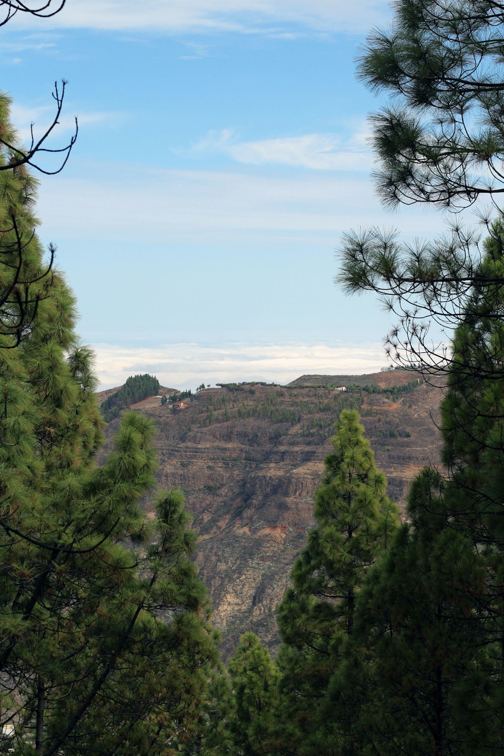 green trees on brown mountain under blue sky during daytime