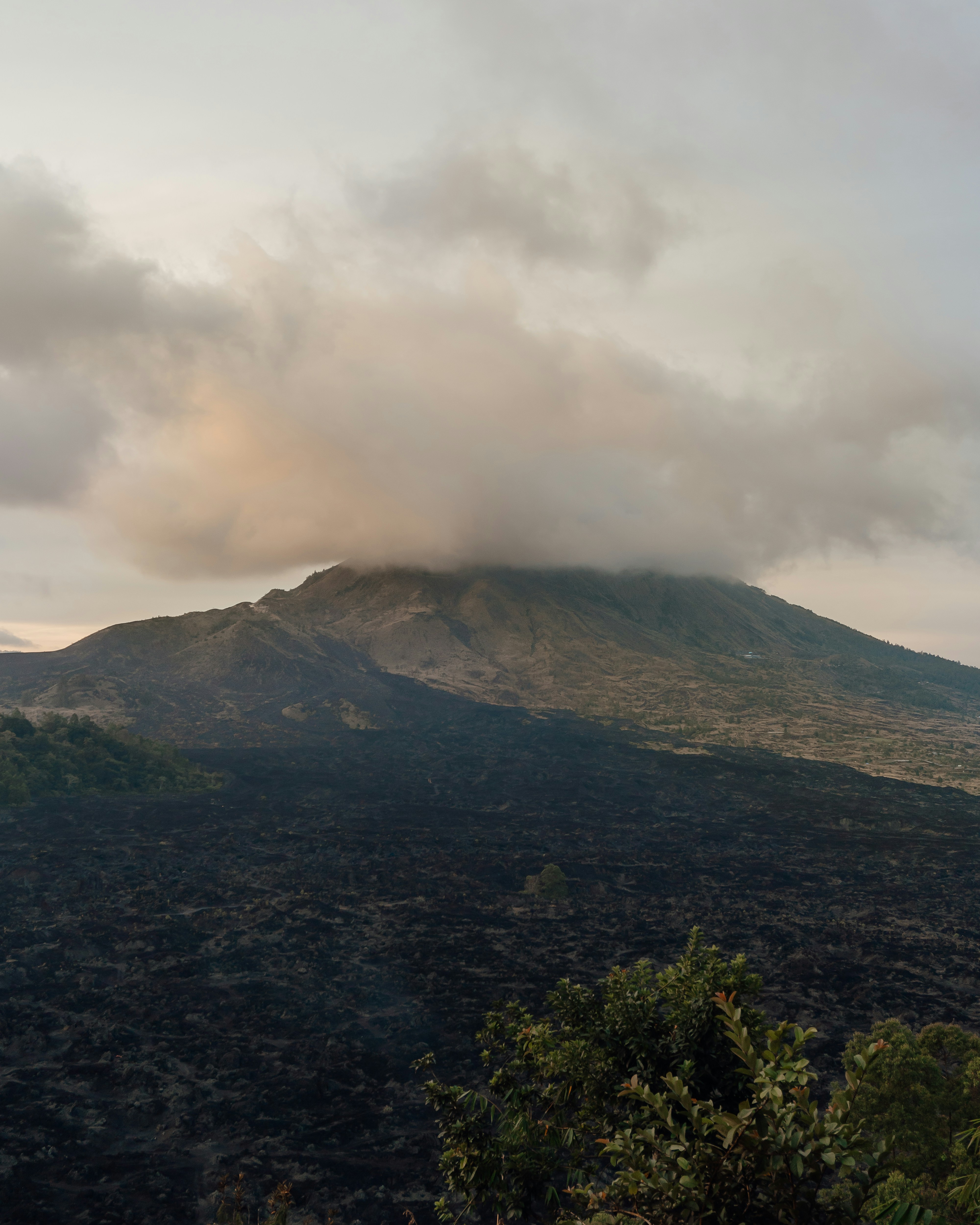 Photo by p_kuzovkova