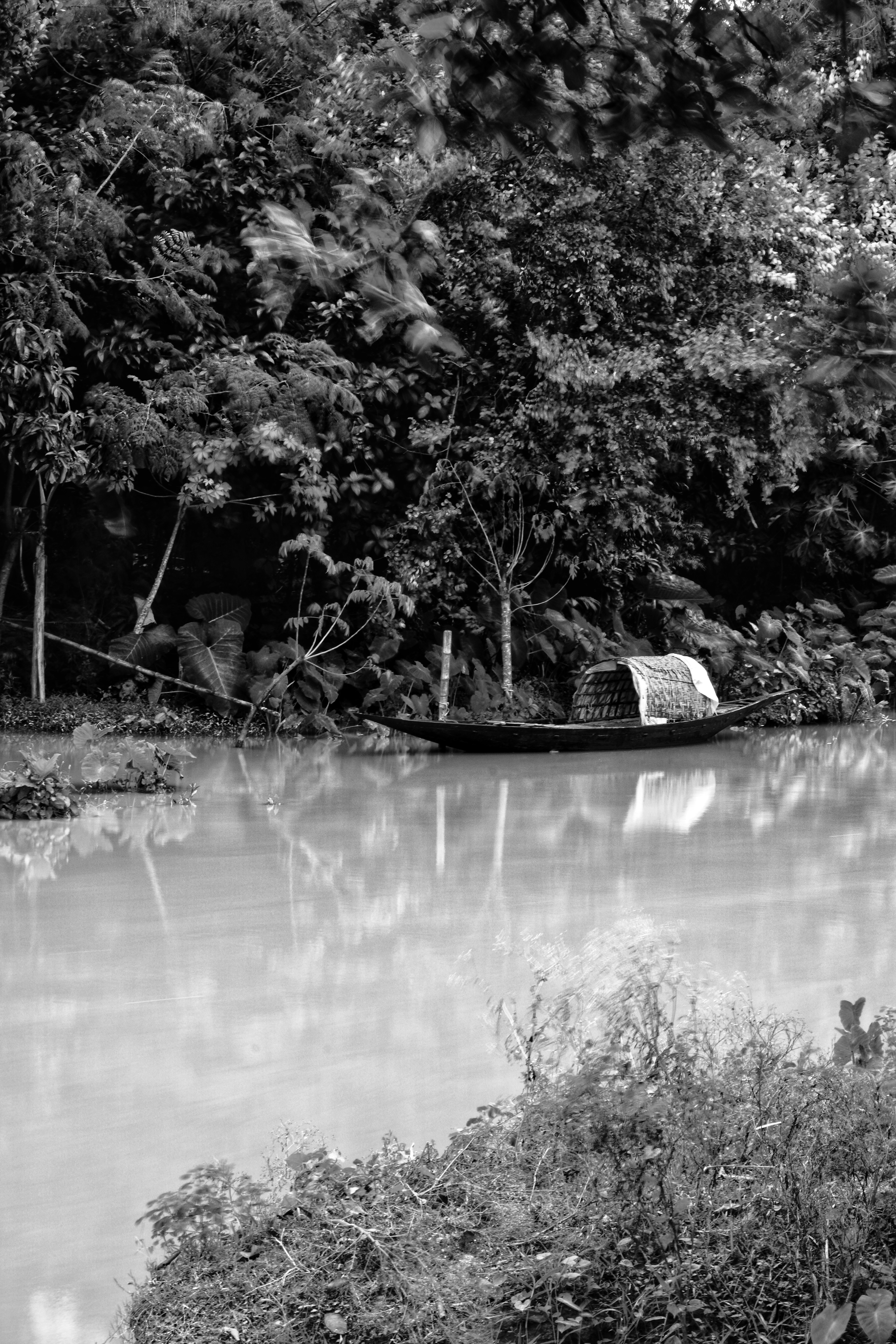 Photo by the_ahnafpiash