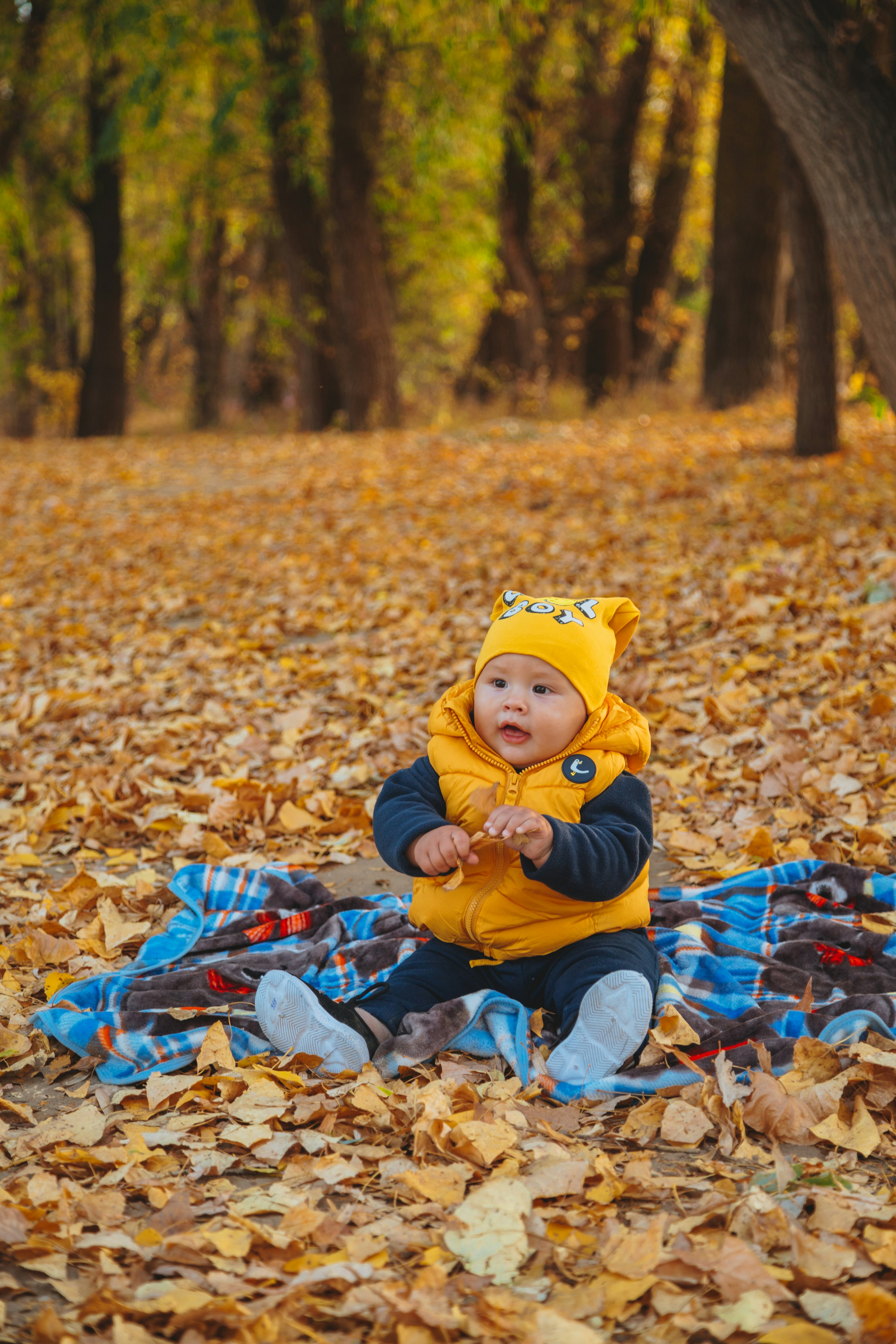 Photo by abrosimova_marina_foto