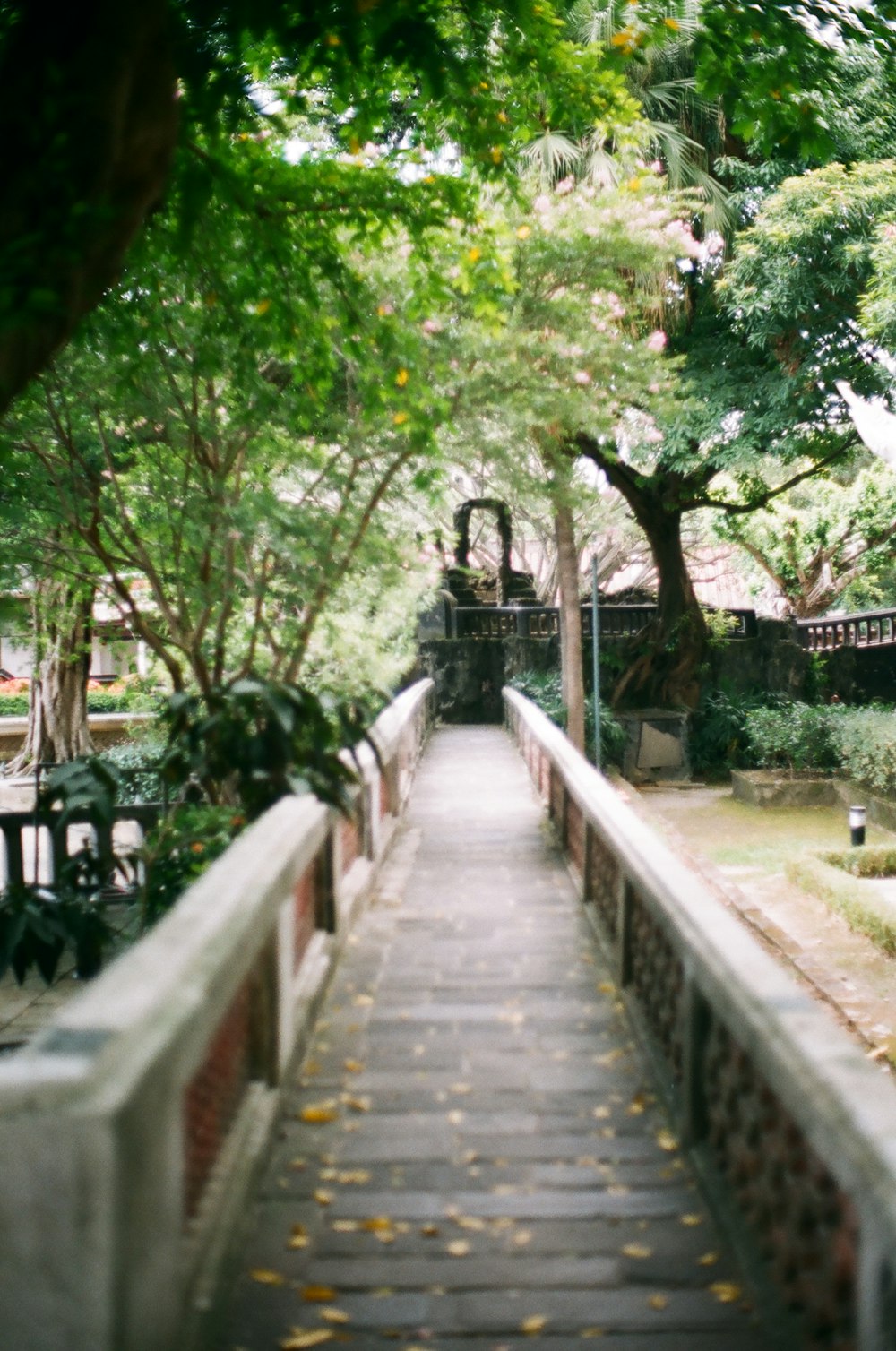 gray concrete pathway between green trees during daytime