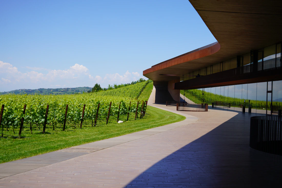 Modern winery building beside a vineyard