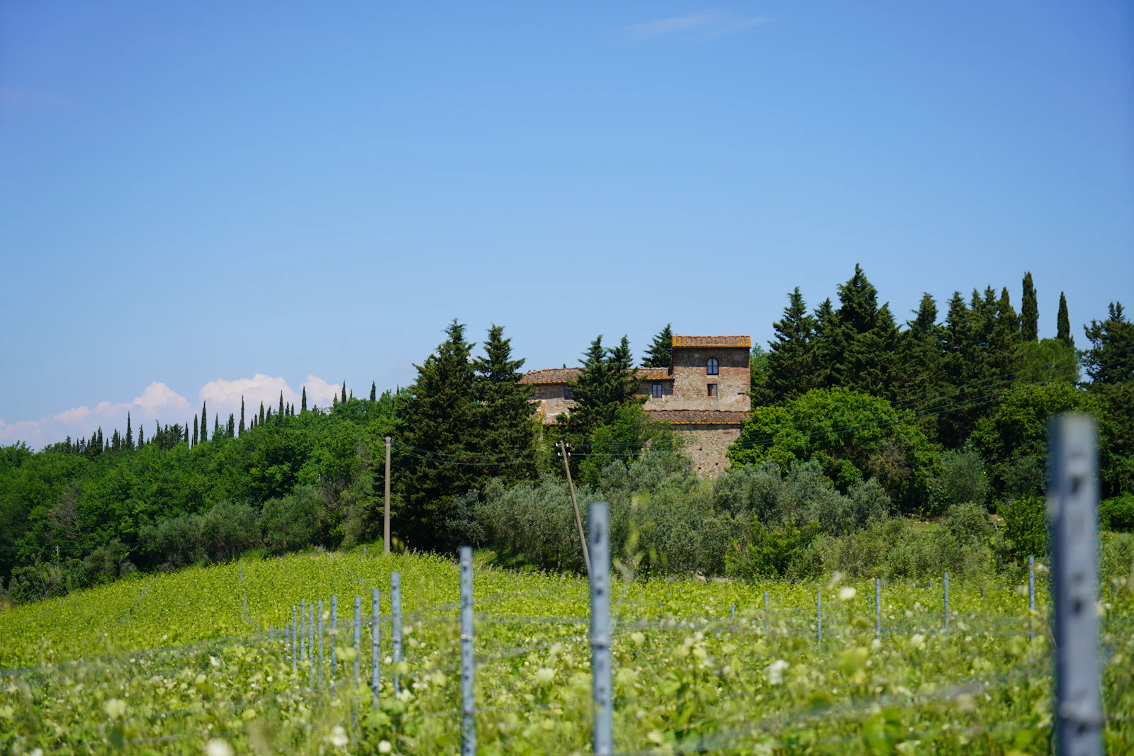 Castiglion del Bosco, A Rosewood Hotel