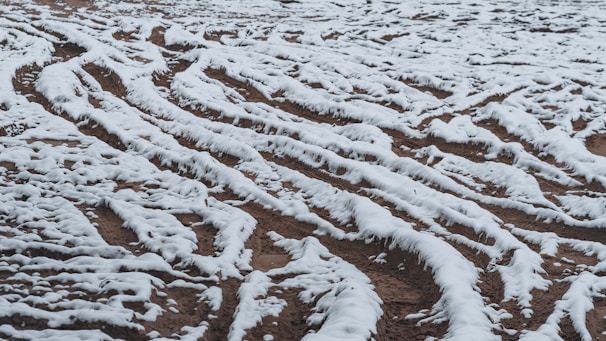 A striking image of winter tires on a snowy road.