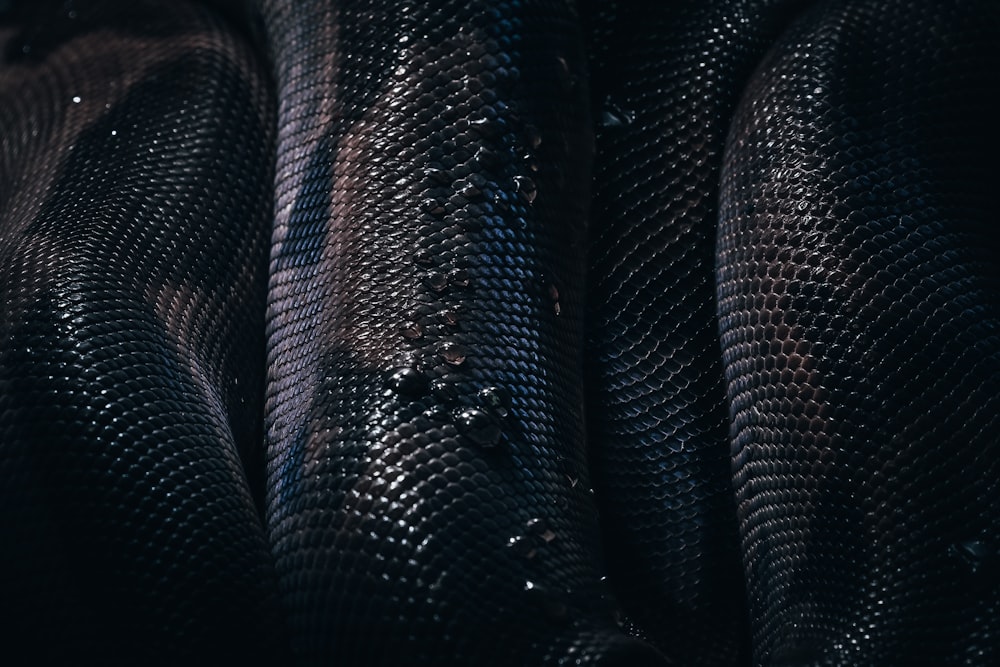 textil de piel de serpiente negra y gris
