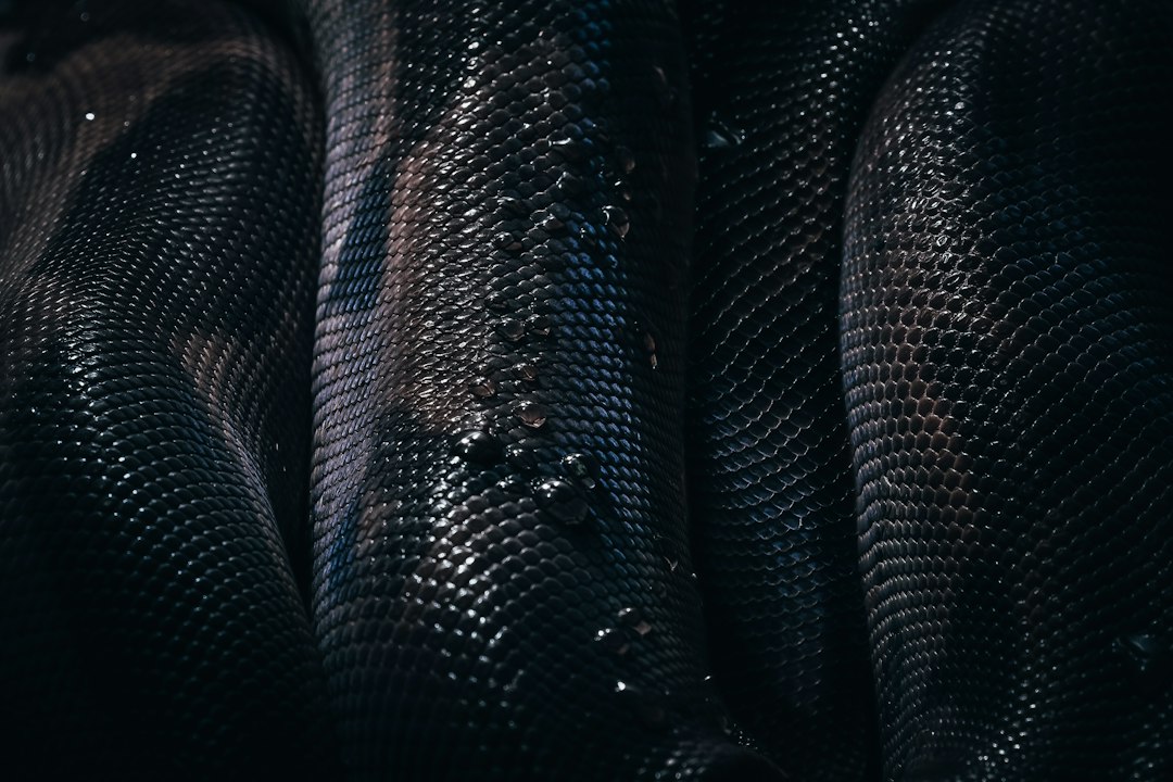 cycling jacket detail fabric