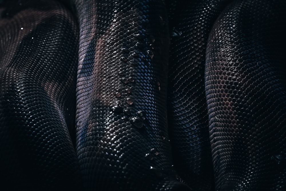 black and gray snake skin textile