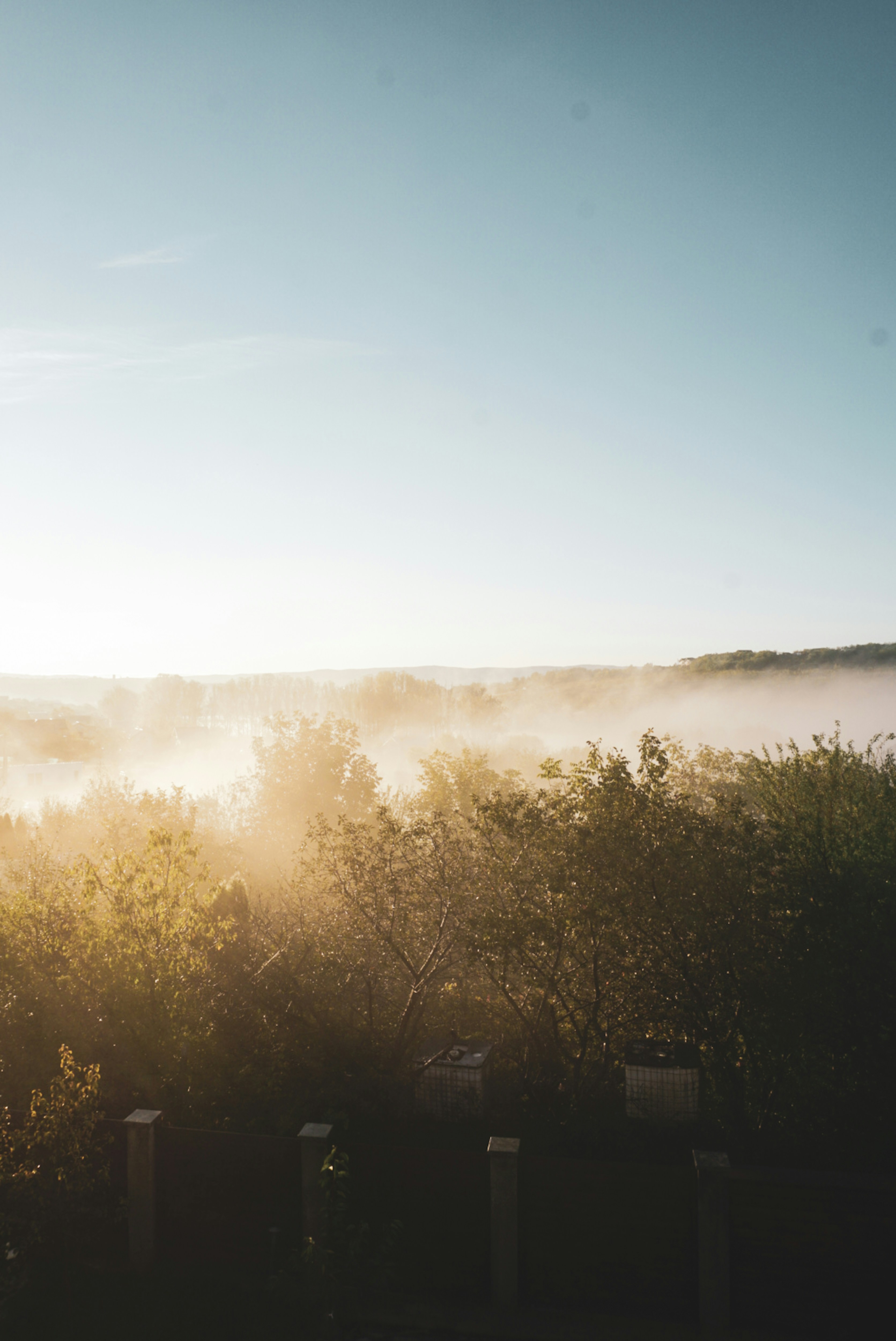 Photo by mateipruteanu