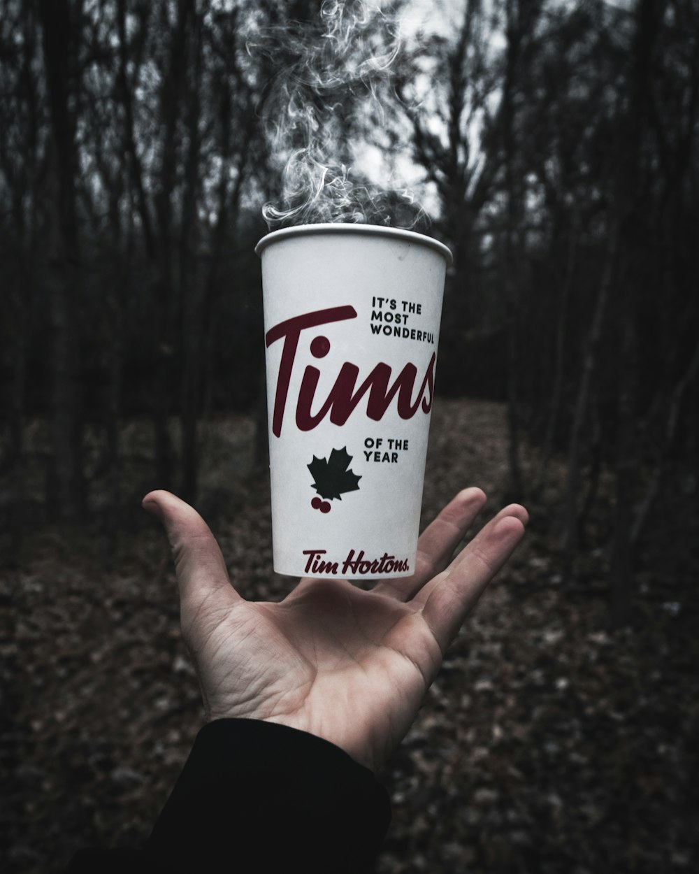 person holding white and red disposable cup