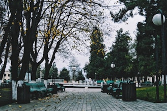 green wooden bench on park during daytime