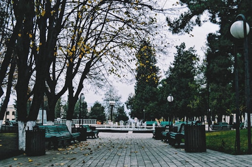 green wooden bench on park during daytime