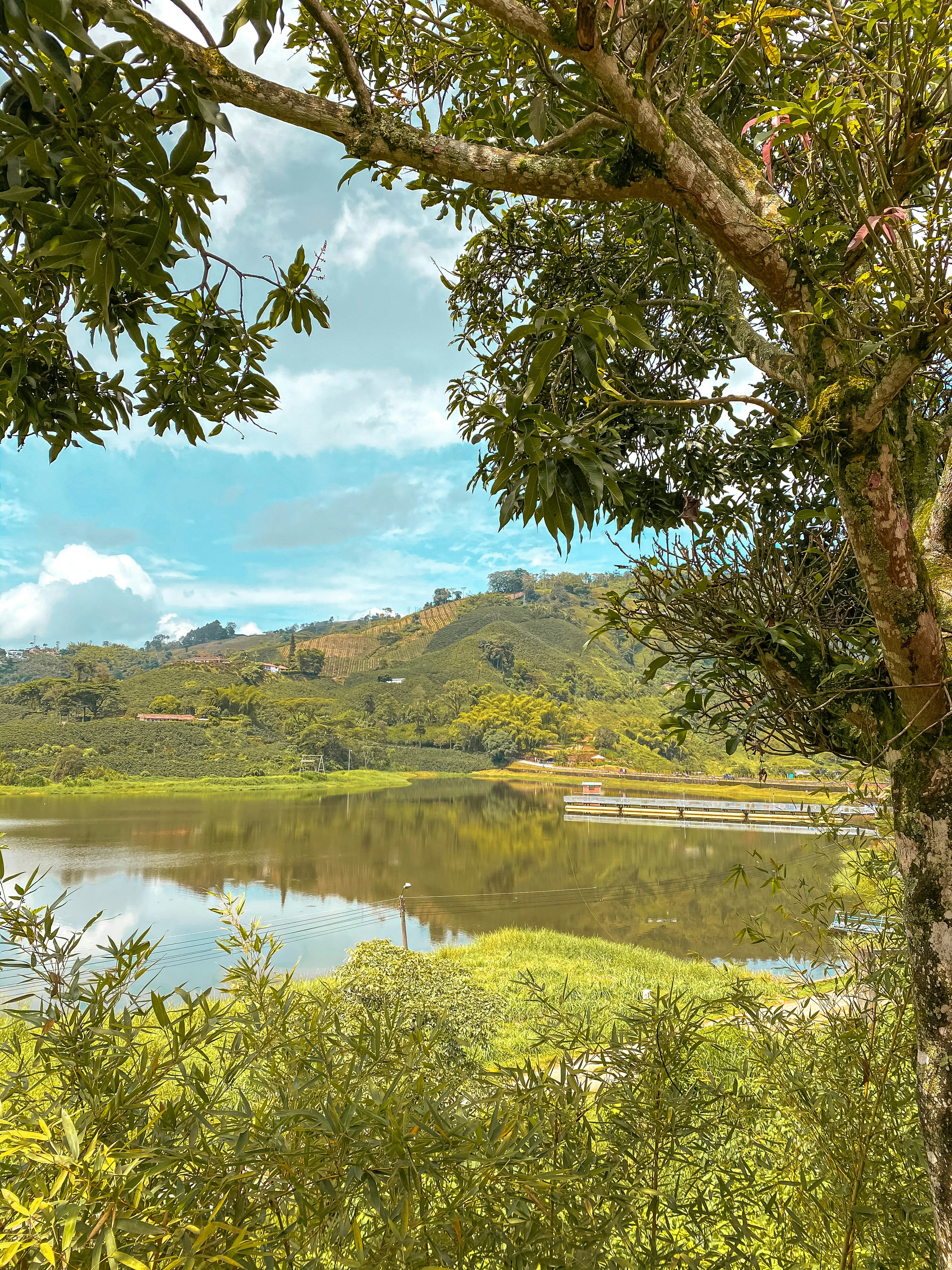 Photo by lauraholguinz