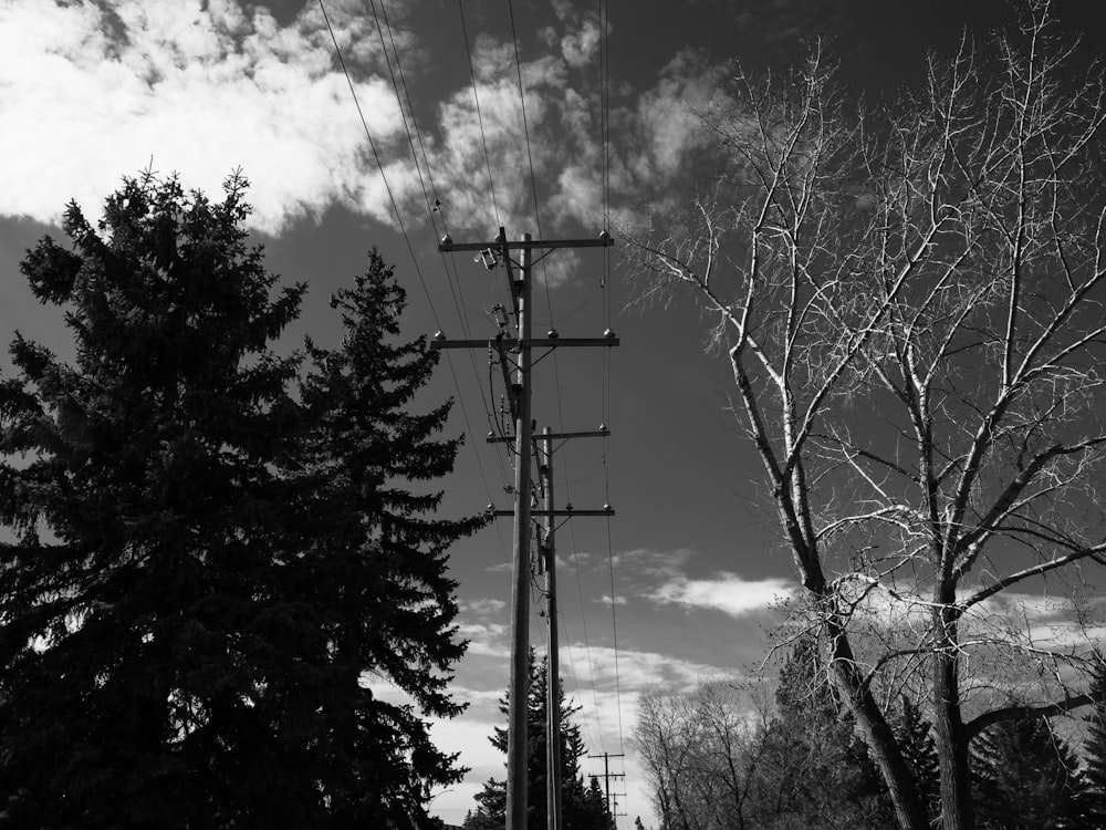 grayscale photo of bare trees under cloudy sky